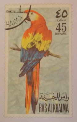 45 Dirhams - Parrot