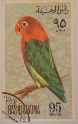 95 Dirham - Parrot