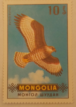 Image #1 of 10 Mongo 1970 - Șorecar comun (Buteo Buteo)