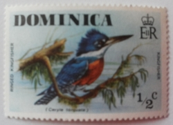 1/2 Cent - Ringed Kingfisher (Ceryle torquata)