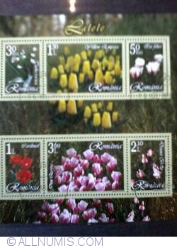 Image #1 of 9 Lei 2006 - Tulips
