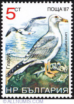 Image #1 of 5 Stotinki (1988) - Seagull (Larus Argentatus)