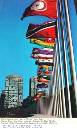 Image #1 of United Nations - Flags