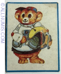 34 - Bear