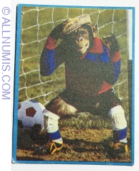 37 - Monkey