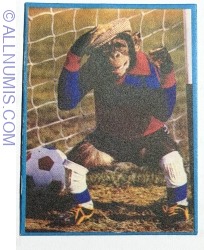 53 - Monkey
