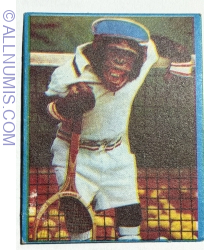 Image #1 of 68 - Monkey