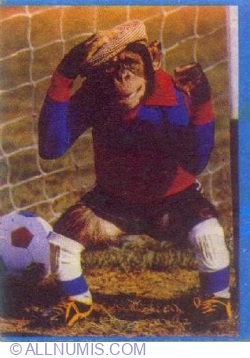 77 - Monkey