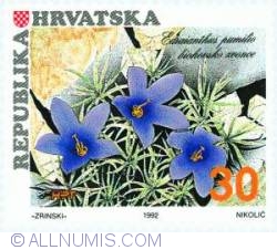 Image #1 of 30 Dinar 1992 - The bellflower of the Biokovo