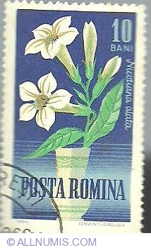 10 Bani 1964 - Nicotiana tabacum
