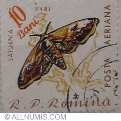 10 Bani - Giant Peacock Moth (Saturnia pyri)