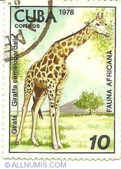 10 centavos 1978 - Giraffa camelopardalis