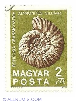 2 Forint 1969 - Reineckia Crassicoastata*Ammonittes-Villany