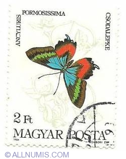 2 Forint 1984 - Ancyluris Formosissima*Csodalepke