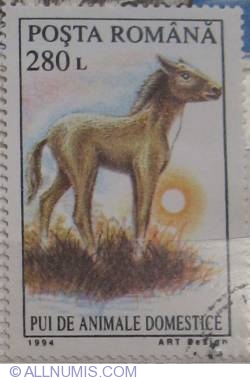 Image #1 of 280 lei 1994 - horse