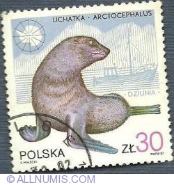 Image #1 of 30 Zloty 1987 - Brown Fur Seal (Arctocephalus pusillus) and "Dziunia"