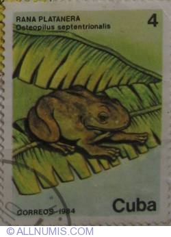Image #1 of 4 centavos 1984 - rana plaranera - osteopilus septentrionalis