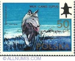 50 Groszy  - Wilk - canis lupus The gray wolf