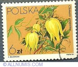 Image #1 of 6 Zloty 1984 - Clematis tangutica