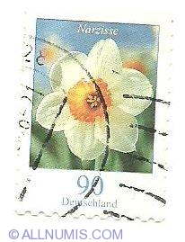 90 ct 2006 - Narcisa (Narcissus)