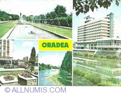 Oradea - Vedere generală