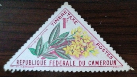 Image #1 of 1 Franc - Plumeria lutea