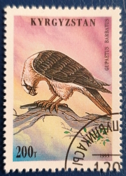 200 Tyiyn 1995 - Gupaetus barbatus