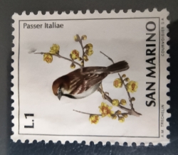 1 Lira 1972 - Passer italiae