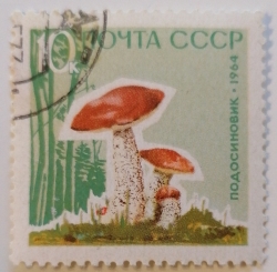 Image #1 of 10 Kopeks 1964 -  Mushroom Red-capped Scaber Stalk (Leccinum aurantiacum)