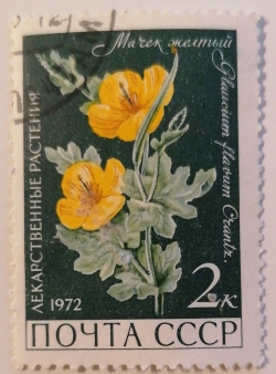 2 Kopeks 1972 - Yellow Horned Poppy (Glaucium flavum)