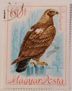 60 Filler - Vulturul Imperial de Est (Aquila heliaca)
