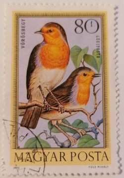 Image #1 of 80 Filler 1973 - European Robin (Erithacus rubecula)