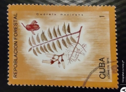 Image #1 of 1 Centavo 1975 - Cedrela mexicana