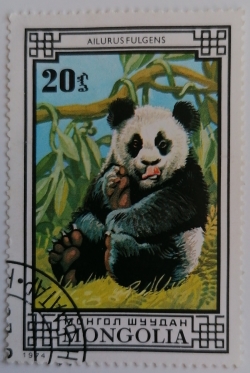 Image #1 of 20 Mongo 1974 - Panda urias (Ailurus fulgens)