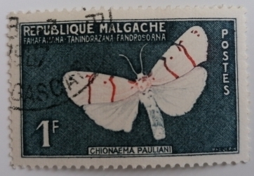 Image #1 of 1 Franc - Chionaema pauliani