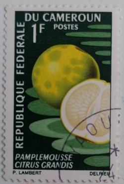 1 Franc - Pomelo (Citrus grandis)