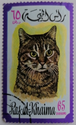 Image #1 of 65 Dirham - Cat (Felis silvestris catus)