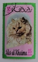35 Dirham - Cat (Felis silvestris catus)