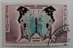 0.50 Franci - Salamis duprei