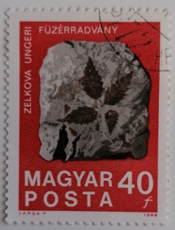 Image #1 of 40 Filler 1969 - Fossilized Zelkova Leaves from Füzérradvány