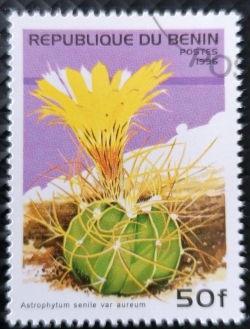 50 Francs 1996 - Astrophytum senile