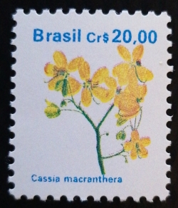 20 Cruzeiro - Cassia macranthera