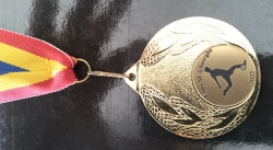 Cupa Sf. Gheorghe / fotbal