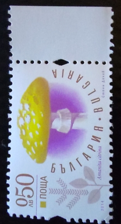 0,50 Lev 2014 - Amanita citrina