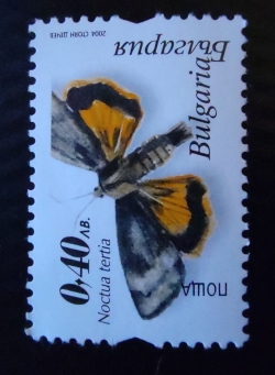 Image #1 of 0,40 Lev 2004 - Large Yellow Underwing (Noctua tertia)