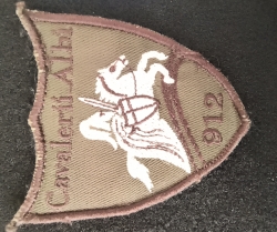 Image #1 of Emblema Batalionul 912