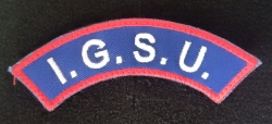 Emblema umăr IGSU