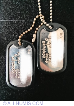 Plăcuțe identificare MApN