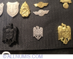 Stema României pentru capela