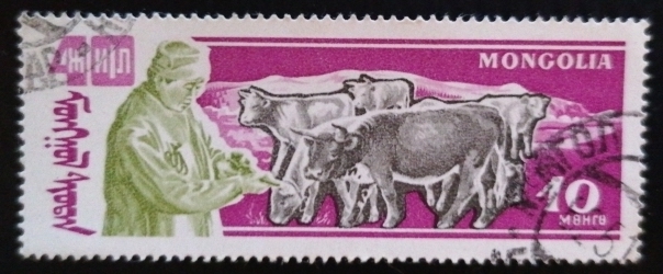 Image #1 of 10 Mongo 1961 - Bovine
